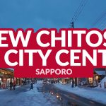 NEW CHITOSE AIRPORT TO SAPPORO CITY CENTER