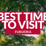 BEST TIME TO VISIT FUKUOKA