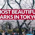 TOKYO: 8 Most Scenic Parks to Visit